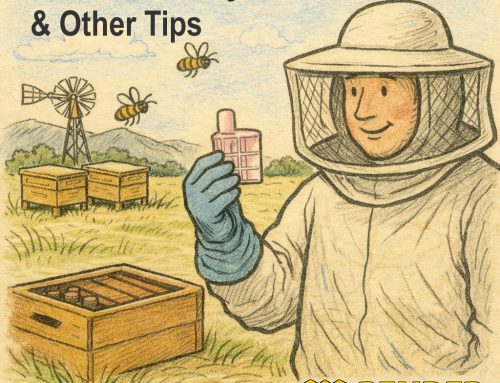 What Is Queen Candy and How Do You Use It When Introducing a Queen Bee in Australia?